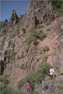 small_9508 0523 co paefIMG0022.webp